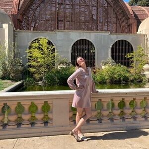 Madewell Soft Pink Faux Velvet Balloon Sleeve Dress Small